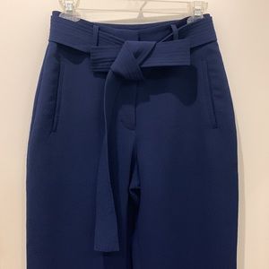 Aritzia Pant